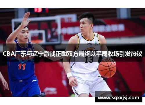 CBA广东与辽宁激战正酣双方最终以平局收场引发热议